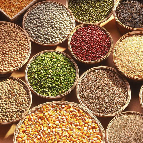 Whole Grains